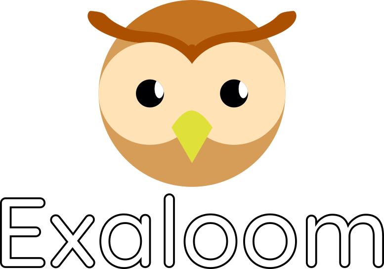 Exaloom Logo with Text